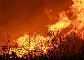 Pakar UGM: Karhutla Berulang Tak Lepas dari Tata Kelola Korporasi dan Perizinan
