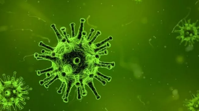 G20 Lahirkan Pandemic Fund, Pengusaha Harap Bisa Perkuat Industri Kesehatan RI