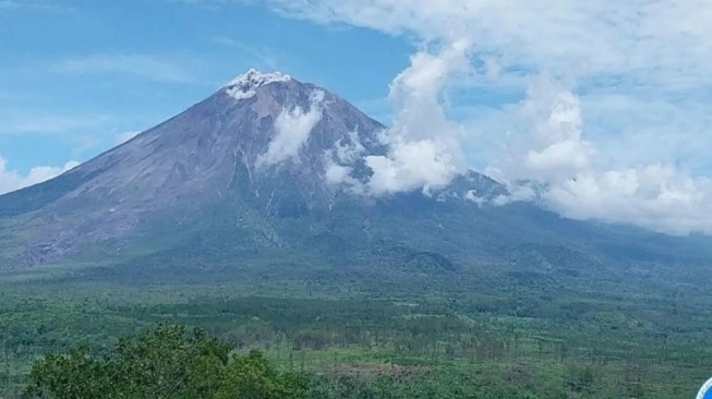 Erupsi Lagi, Letusan Gunung Semeru Sampai Setinggi 800 Meter