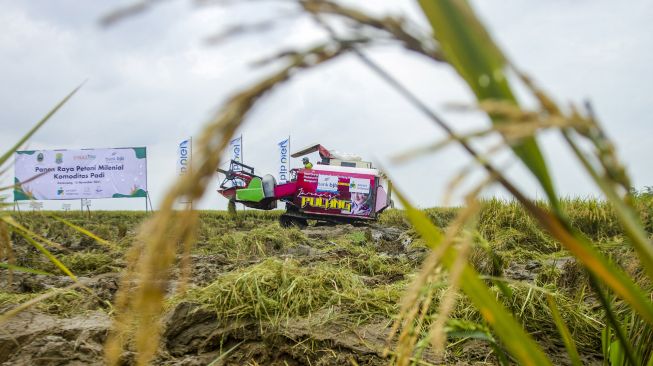Ekspor Produk Pertanian Januari – Oktober 2021 Mencapai Rp518,8 Triliun