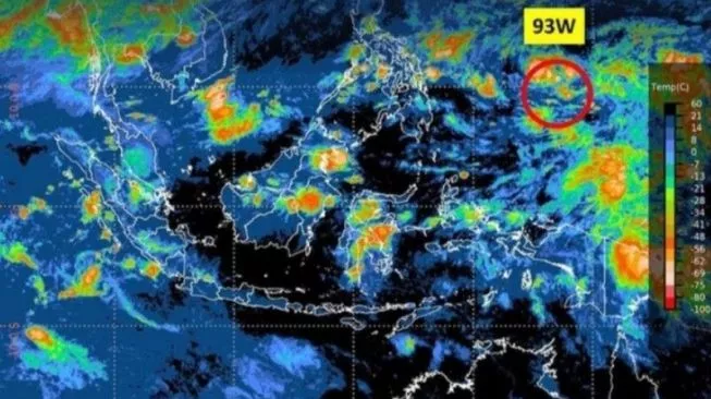Analisis BMKG Deteksi Kemunculan Bibit Siklon di Utara Papua, Tinggi Gelombang di Laut Bisa Sampai 2,5 Meter