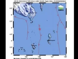 Gempa Magnitudo 5,0, Guncang Laut Kepulauan Sangihe, BMKG Pastikan Tak Berpotensi Tsunami
