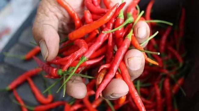 Wabup Sanggau Tinjau Lokasi Ritual Nosu Minu Podi ke-XVIII