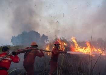 Gambut Terbakar dalam Hitungan Hari, Pulihnya Bisa Puluhan Tahun