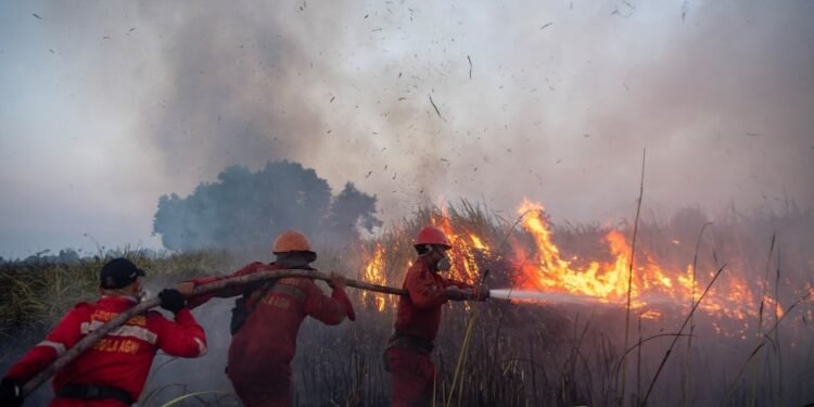 Gambut Terbakar dalam Hitungan Hari, Pulihnya Bisa Puluhan Tahun