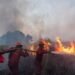 Gambut Terbakar dalam Hitungan Hari, Pulihnya Bisa Puluhan Tahun