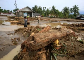 Banjir dan Longsor di Sumatra: Korban Mencapai 442 Jiwa, 402 Orang Masih Hilang