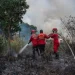 Krisis Global: Lonjakan Kebakaran Hutan Akibat Perubahan Iklim
