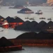 Rencana China Bangun Ratusan PLTU Dorong Harga Batu Bara Global Menguat