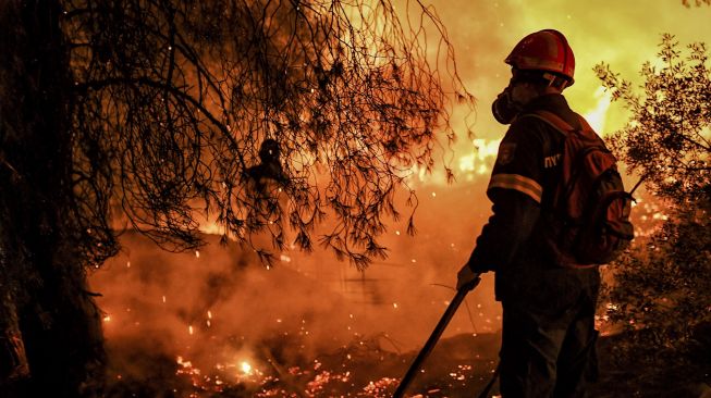 Kebakaran Hutan di Turki, Warga Perumahan Dievakuasi