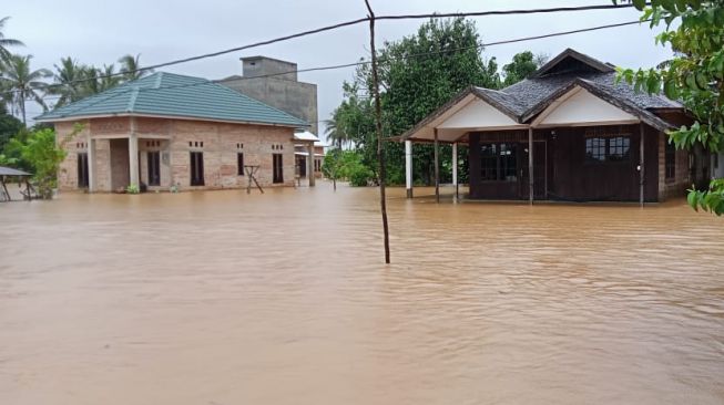 Ini Penyebab Banjir di Kalimantan Selatan Menurut KLHK
