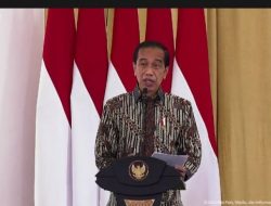 Jokowi: Pengembangan Ekonomi Hijau Harus Jadi Komitmen Bersama