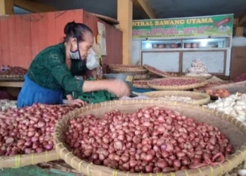Harga Pangan Nasional Melonjak, Cabai dan Bumbu Dapur Jadi Pemicu Utama