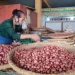 Harga Pangan Nasional Melonjak, Cabai dan Bumbu Dapur Jadi Pemicu Utama