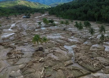 WALHI: Kerusakan Lingkungan Bertahun-tahun Picu Banjir dan Longsor Mematikan di Sumatra