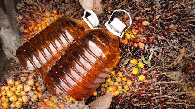 Daya Saing Sawit Tergerus Kampanye Hitam