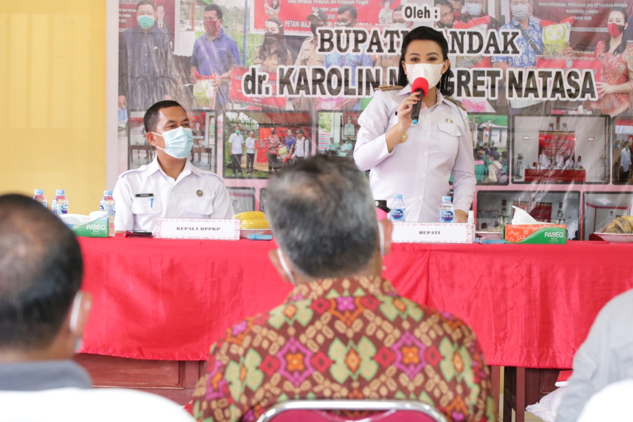 Tekad Karolin Siapkan Kabupaten Landak Jadi Lumbung Benih Kalbar