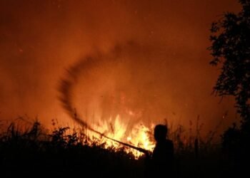 DPR Dorong Hukuman Berat bagi Pelaku Karhutla, Aktor di Balik Pembakaran Harus Diburu