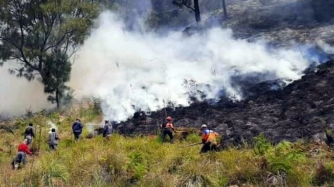 Penyebab Kebakaran Lahan saat Musim Kemarau, Faktor Manusia Paling Parah