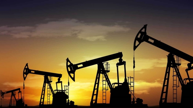 Pemerintah Berikan Relaksasi Ekspor Mineral Logam