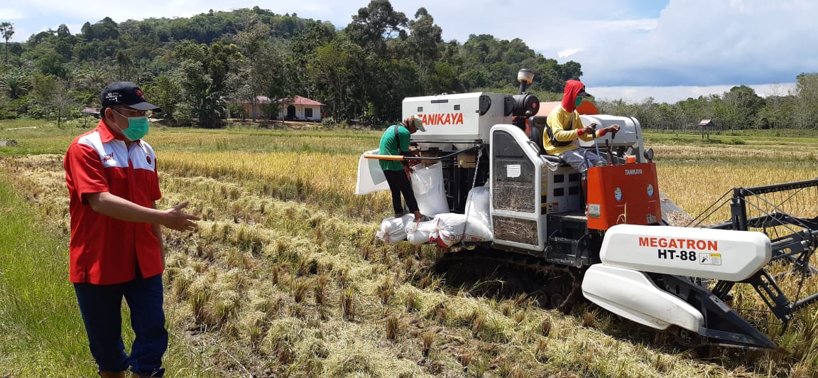 Perkuat Ketahanan Pangan, Cornelis Ajak Petani Kembangkan Varietas Mekongga