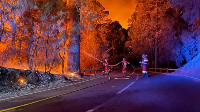 51 O rang Tewas Dalam Tragedi Kebakaran Hutan di Chile