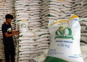 Bansos Beras Dilanjutkan, 18 Juta KPM Siap Terima 20 Kg untuk Oktober–November