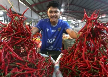 Harga Pangan Kompak Turun, Cabai Rawit Masih Mahal