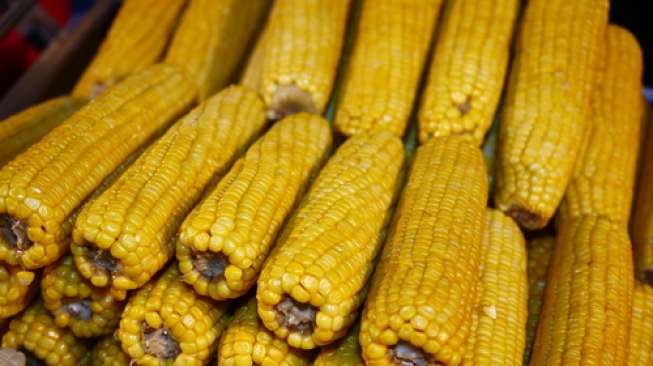 10 Provinsi Penghasil Jagung Terbanyak Indonesia