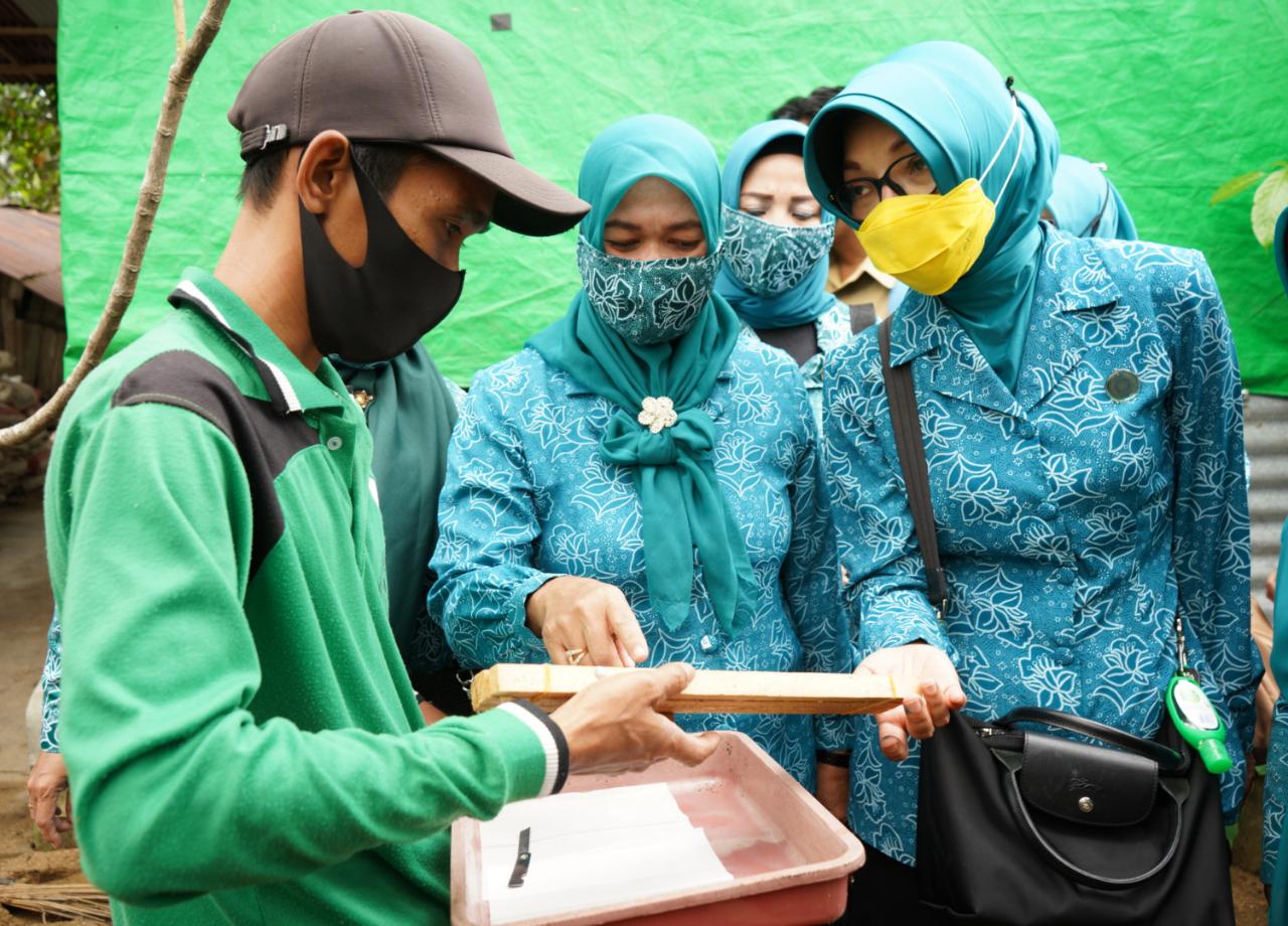 Budidaya Maggot BSF UP2K Kreasi Sungai Putat