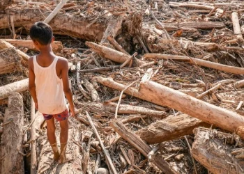 Korban Banjir dan Longsor di Sumatra Bertambah, 916 Jiwa Meninggal Dunia