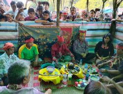 Lestarikan Tradisi Budaya Ritual Adat Notokng Binua Angan Tembawang