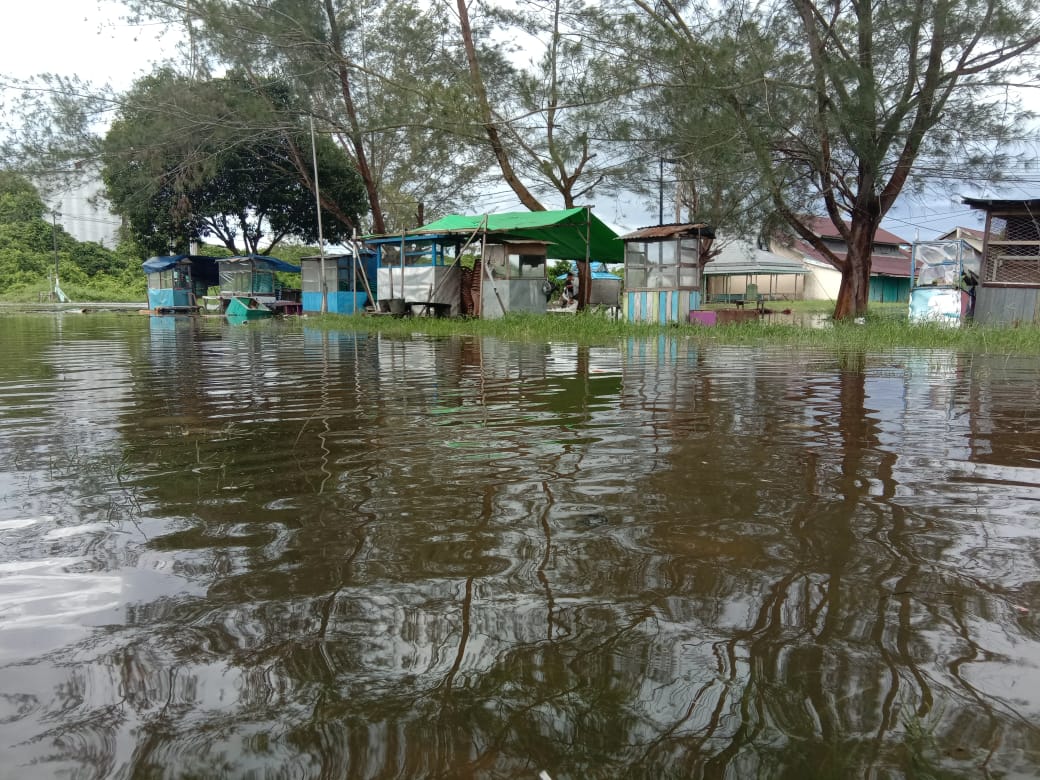 Kecamatan Delta Pawan Ketapang Dikepung Banjir Rob Setinggi 50 Sentimeter
