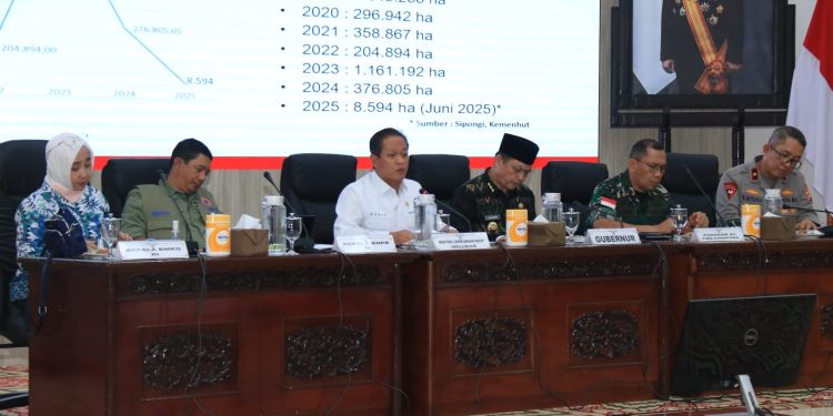Kalbar Siaga Karhutla, Pemerintah Pusat Turun Tangan