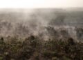 Hotspot Karhutla Kembali Bertambah, Kalimantan Tengah dan Kalbar Jadi Sorotan