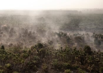 Hotspot Karhutla Kembali Bertambah, Kalimantan Tengah dan Kalbar Jadi Sorotan