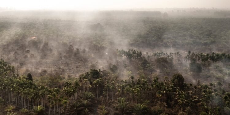 Hotspot Karhutla Kembali Bertambah, Kalimantan Tengah dan Kalbar Jadi Sorotan