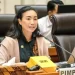 MKD DPR RI Tegaskan Rahayu Saraswati Tetap Duduki Kursi Legislatif 2024–2029