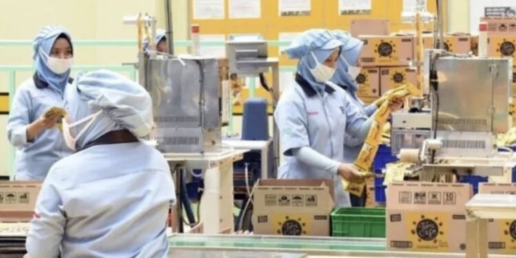 BOLDe Pilih Indonesia Jadi Manufacturing Hub, Produk Lokal Dibidik Tembus Pasar Global