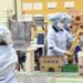 BOLDe Pilih Indonesia Jadi Manufacturing Hub, Produk Lokal Dibidik Tembus Pasar Global