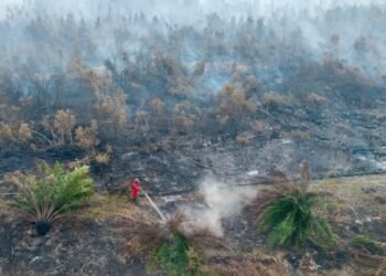 Polri Tetapkan 89 Tersangka Kasus Karhutla di Sumatra dan Kalimantan