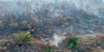 Polri Tetapkan 89 Tersangka Kasus Karhutla di Sumatra dan Kalimantan