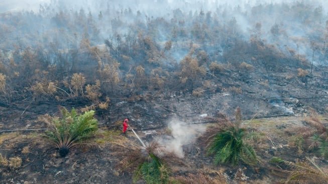 Polri Tetapkan 89 Tersangka Kasus Karhutla di Sumatra dan Kalimantan