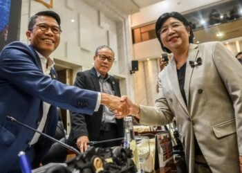 Komisi XI DPR Setujui Destry Damayanti Jadi Gubernur BI