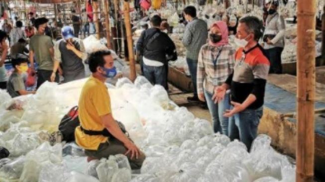 Pedagang Ikan Hias di Bogor Dapat Cuan Lewat Pembayaran Digital