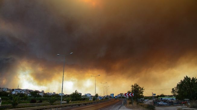 Kebakaran hutan Turki Masuki Hari ke-6, 10.000 Orang Dievakuasi