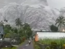 PVMBG Ungkap Abu Vulkanik Gunung Semeru Bisa Menyebar Lebih Jauh