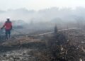 Hadapi Risiko Karhutla, Kalbar Perkuat Deteksi Dini, Tata Air Gambut, dan Kesiapan Pemadaman