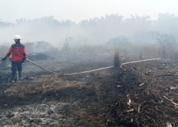 Hadapi Risiko Karhutla, Kalbar Perkuat Deteksi Dini, Tata Air Gambut, dan Kesiapan Pemadaman