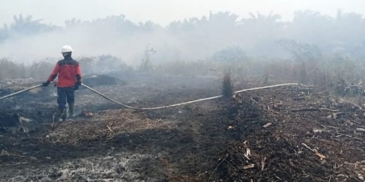 Hadapi Risiko Karhutla, Kalbar Perkuat Deteksi Dini, Tata Air Gambut, dan Kesiapan Pemadaman